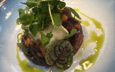 img-2839.jpeg img-2839.jpeg