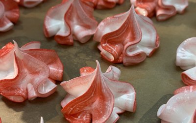 img-4024.jpeg img-4024.jpeg