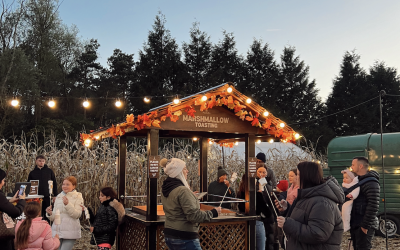 screenshot-2026-03-27-at-09.22.05.png screenshot-2026-03-27-at-09.22.05.png