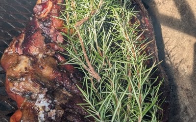 5db423f4-35e6-462f-b091-c9549a0eb689.jpeg 5db423f4-35e6-462f-b091-c9549a0eb689.jpeg