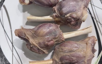 img-3989.jpeg img-3989.jpeg