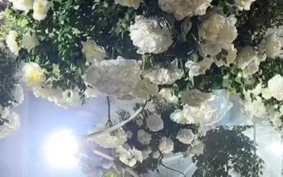 2025-collection.jpg 2025-collection.jpg