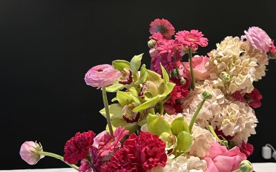 img-6098-original.jpeg img-6098-original.jpeg