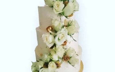 img-3263.jpeg img-3263.jpeg