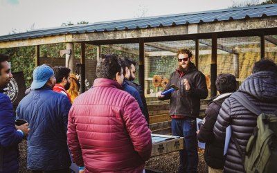 img-20221126-wa0001.jpeg img-20221126-wa0001.jpeg