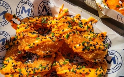 squid.jpeg squid.jpeg