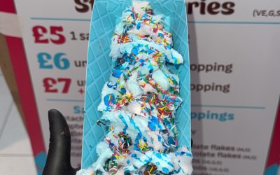 img-0519.jpeg img-0519.jpeg