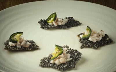 ae31e396-bca8-493e-8cc5-4e86c661b5d4.jpeg ae31e396-bca8-493e-8cc5-4e86c661b5d4.jpeg