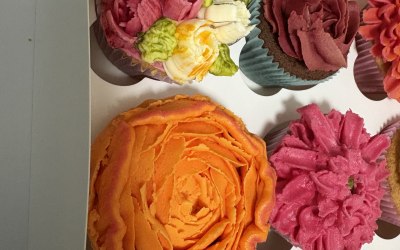 img-5402.jpeg img-5402.jpeg