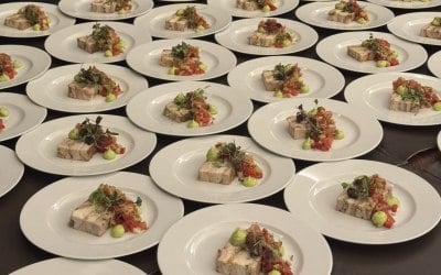 img-1377.jpeg img-1377.jpeg