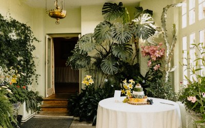 p1090684.jpg p1090684.jpg