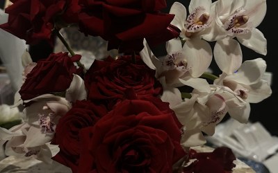 img-9708-original.jpeg img-9708-original.jpeg