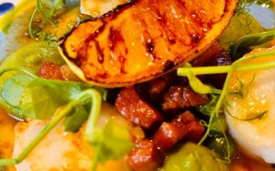 7f2a7358-964d-429c-81e7-aea608e9c136.jpeg 7f2a7358-964d-429c-81e7-aea608e9c136.jpeg