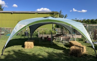 img-1998.jpeg img-1998.jpeg