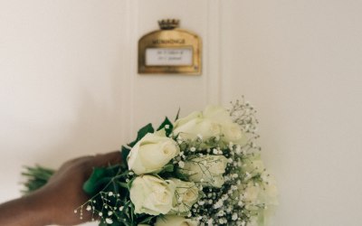 spls3684.jpeg spls3684.jpeg