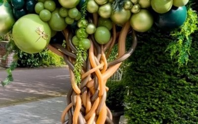 img-8717.jpeg img-8717.jpeg