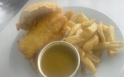 img-3558.jpeg img-3558.jpeg