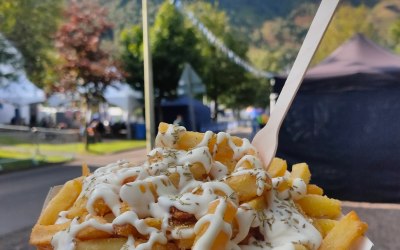 img-20230916-110201-540.jpg img-20230916-110201-540.jpg