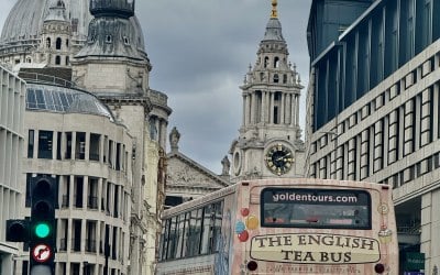 img-1082.jpeg img-1082.jpeg