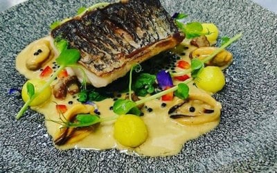 43788482-768985623437622-5297749688970117120-n.jpg 43788482-768985623437622-5297749688970117120-n.jpg