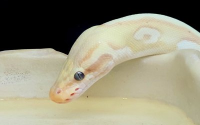 20251215-204253-1.jpg 20251215-204253-1.jpg