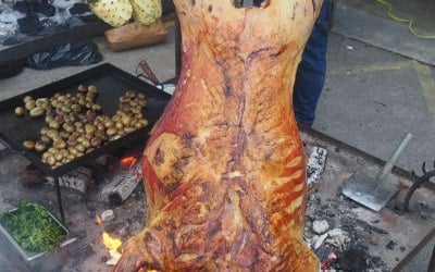 6ef504d2-8625-4f65-ab41-bc93f8df74b4.jpeg 6ef504d2-8625-4f65-ab41-bc93f8df74b4.jpeg