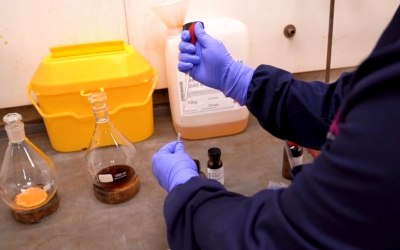 img-8880.jpeg img-8880.jpeg