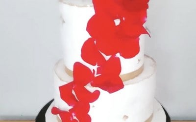 img-3262.jpeg img-3262.jpeg