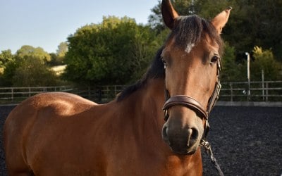 img-3681.jpeg img-3681.jpeg