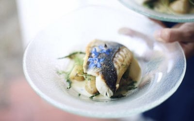 img-1607-1.jpg img-1607-1.jpg