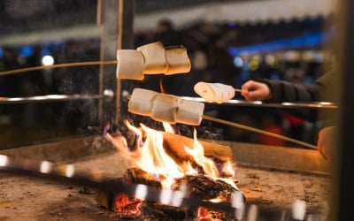 fid-wr-10.jpg fid-wr-10.jpg