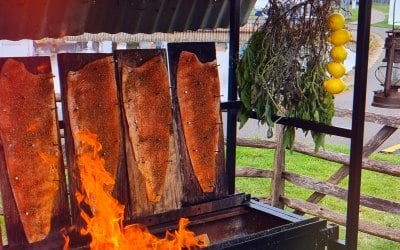 img-20240715-074842-415.jpg img-20240715-074842-415.jpg