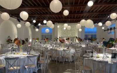 whatsapp-image-2025-11-21-at-14.12.50-1.jpeg whatsapp-image-2025-11-21-at-14.12.50-1.jpeg