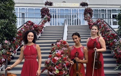 img-3880.jpg img-3880.jpg