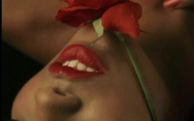 img-3969.jpeg img-3969.jpeg