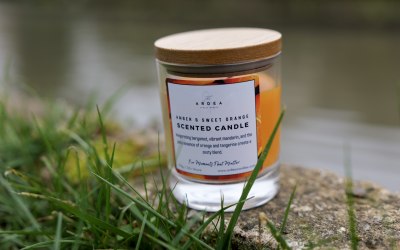 6-p1013107.jpg 6-p1013107.jpg