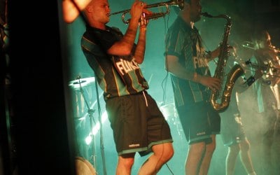 img-3074.jpeg img-3074.jpeg