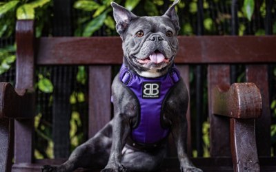 img-6659.jpeg img-6659.jpeg