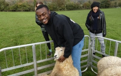 rsz-turning-sheep.jpg