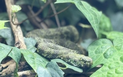 img-9562.jpeg img-9562.jpeg