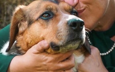 c585fc18-f4ba-48fd-bac9-f8e50e86539e.jpeg c585fc18-f4ba-48fd-bac9-f8e50e86539e.jpeg