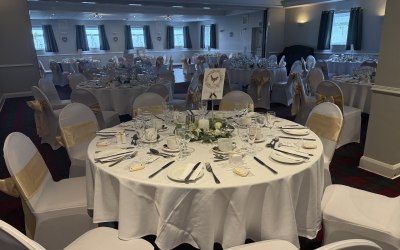 img-3950.jpeg img-3950.jpeg