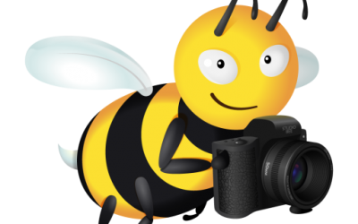cropped-studio-bee-mascot-final-1.png