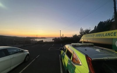 img-1110.jpeg img-1110.jpeg