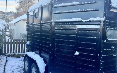 horsebox-2.jpg