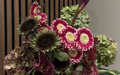 img-7616-original.jpeg img-7616-original.jpeg