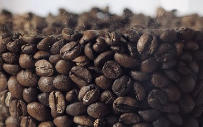 img-7552.jpeg img-7552.jpeg