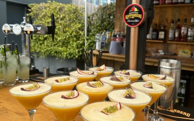 img-6824.jpeg img-6824.jpeg