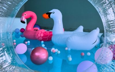 Props for Hire - Inflatable Flamingo, Inflatable Swan, Inflatable Rings