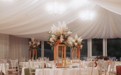 img-9321.jpeg img-9321.jpeg